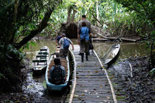 Ecuador-Amazon-La Selva Jungle Lodge